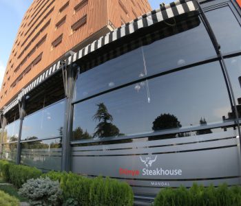 Giyotin Cam Sistemleri